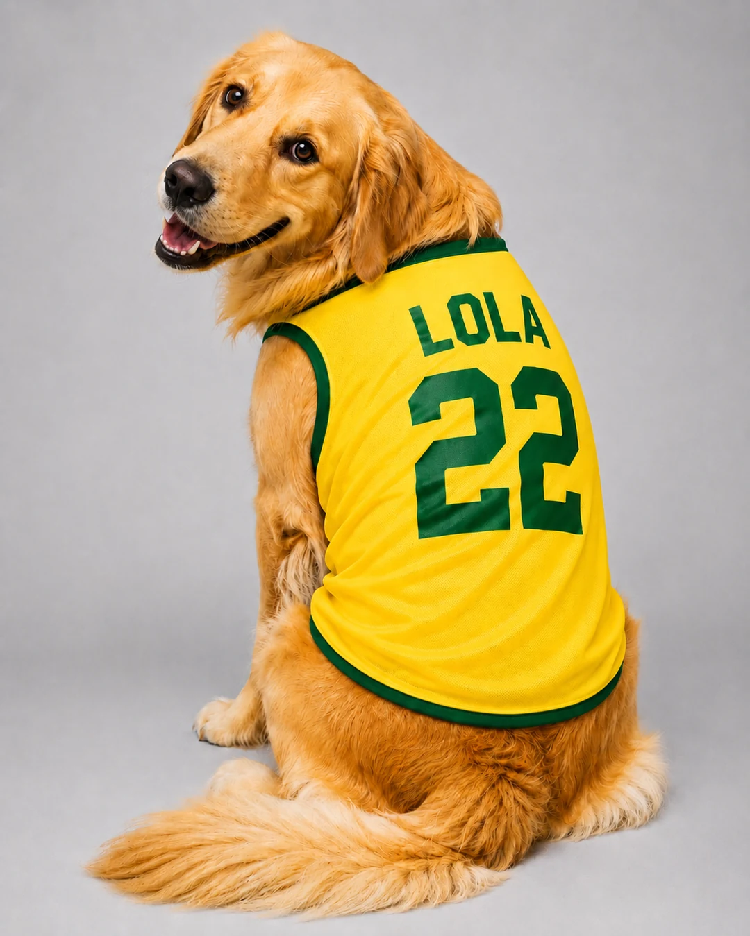 Lola — Golden Retriever com camisa da Seleção