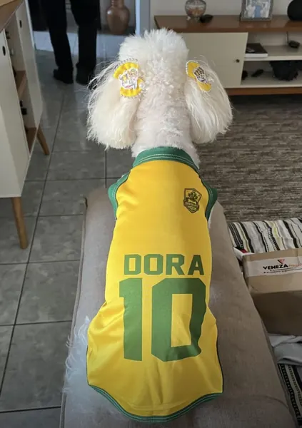 Pet usando camisa personalizada da Seleção