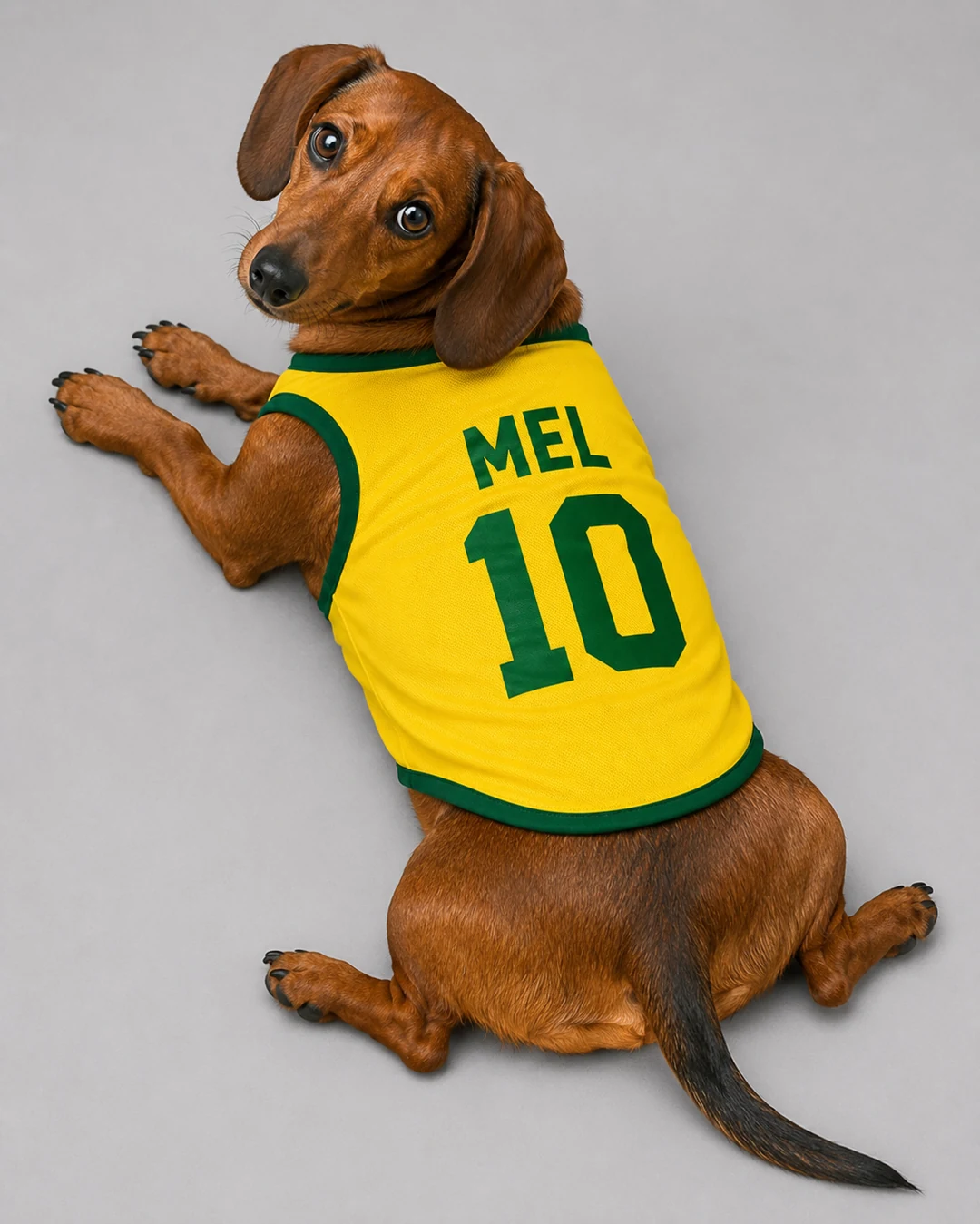 Mel — Dachshund com camisa da Seleção
