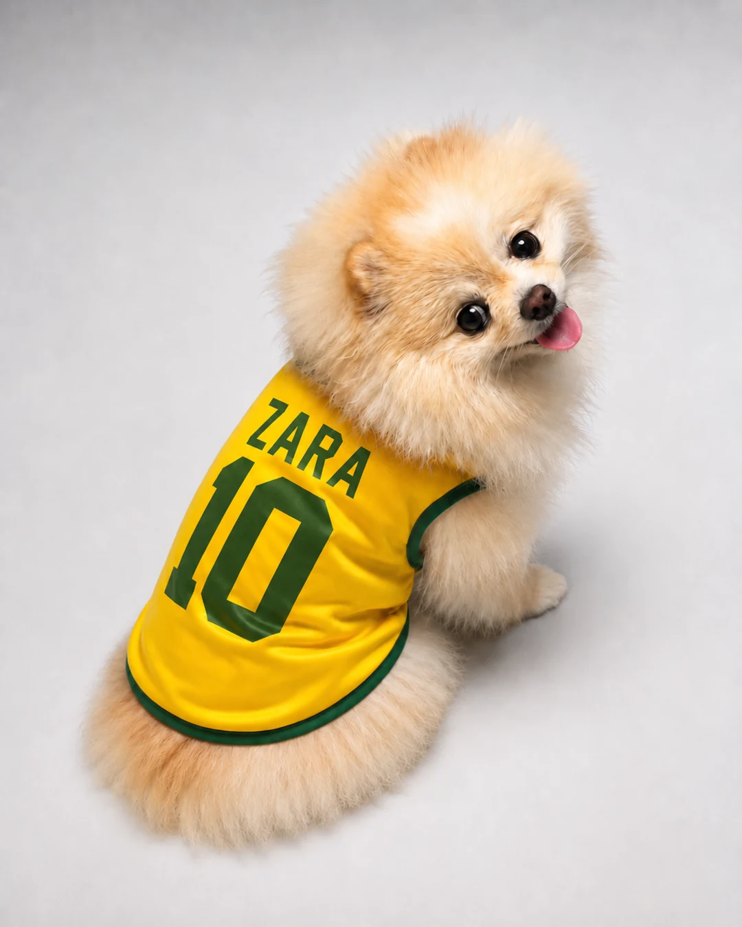 Zara — Spitz com camisa da Seleção